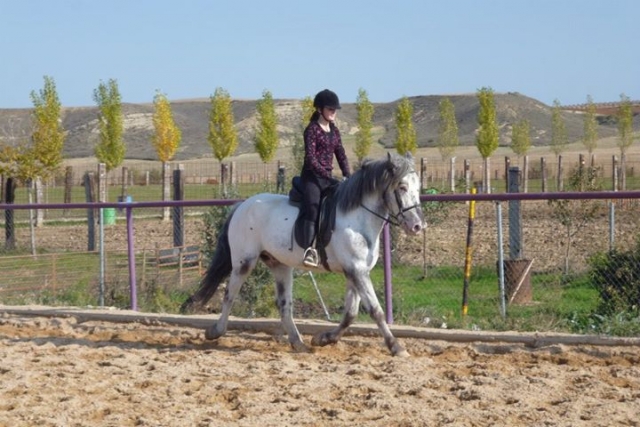 en el caballo